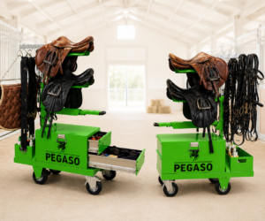 Pegaso cassettiera aperta